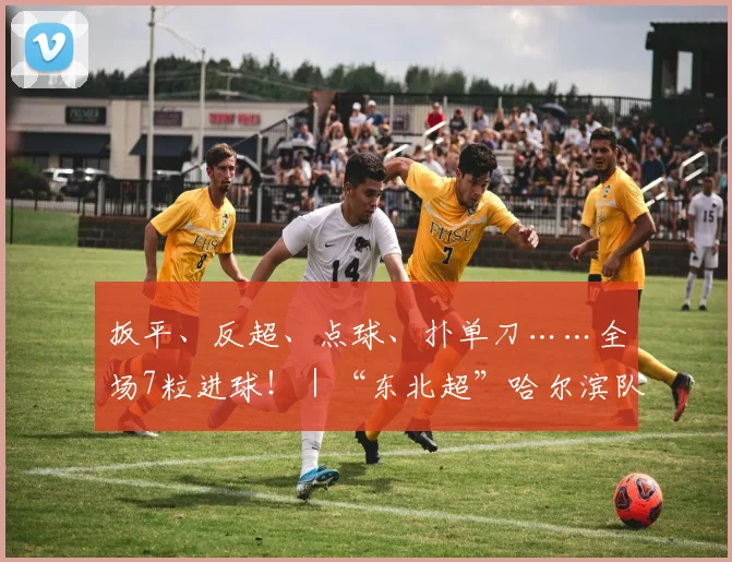 扳平、反超、点球、扑单刀……全场7粒进球!|“东北超”哈尔滨队—大连队揭幕战太火爆!