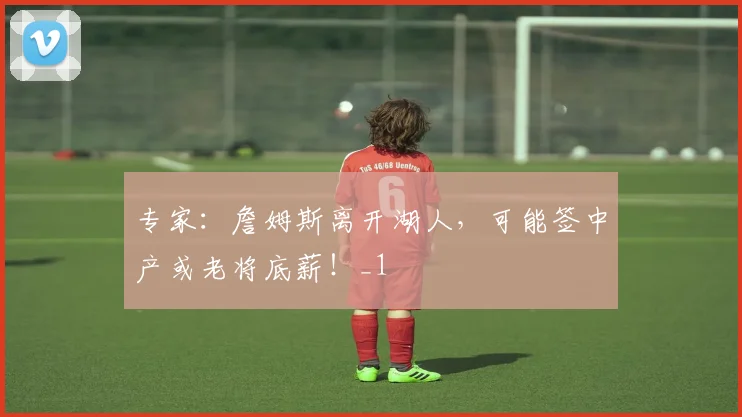 专家：詹姆斯离开湖人，可能签中产或老将底薪！_1